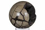 Polished, Septarian Geode Sphere - Madagascar #219109-1